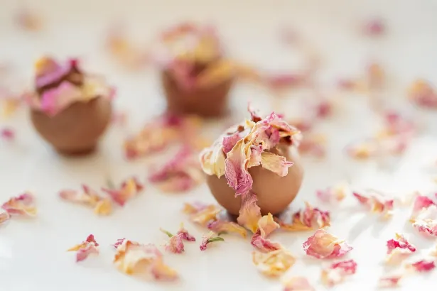 Pelican Casino Android/iOS App